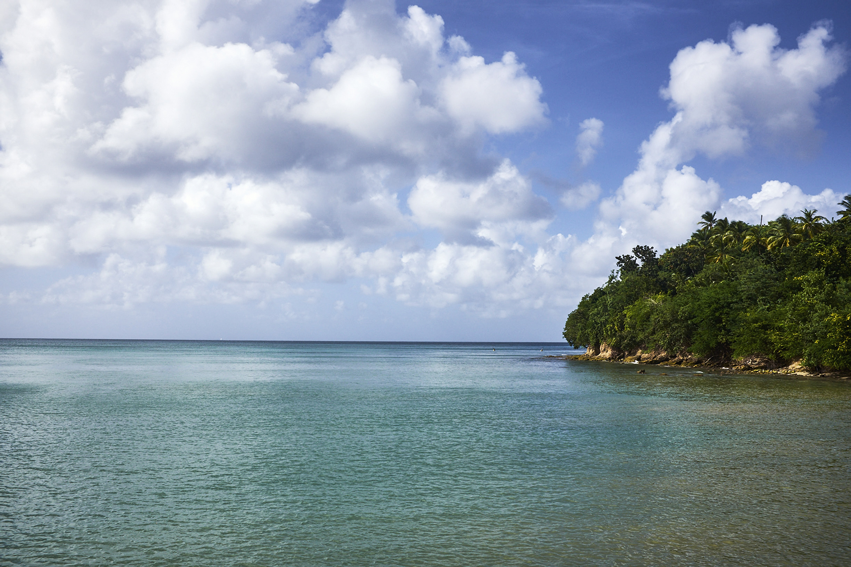 Mariner_ST_LUCIA_1854